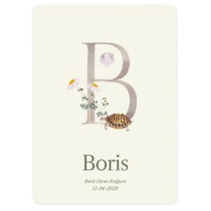 Bestel Gepersonaliseerde Geboorteposter - Letter met eigen foto