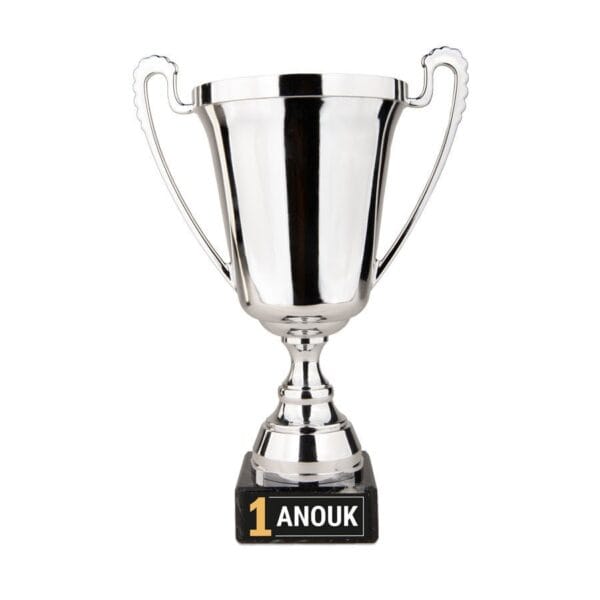 Bestel Trofee bedrukken - Zilver met eigen foto
