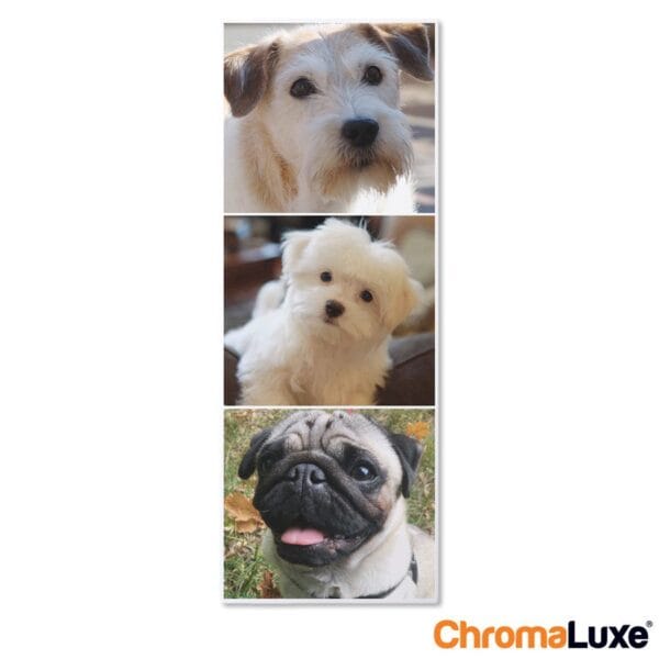 Bestel Foto op aluminium afdrukken - Wit (ChromaLuxe) - 30 x 80 cm met eigen foto