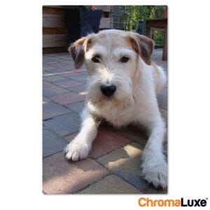 Bestel Foto op aluminium afdrukken - Wit (ChromaLuxe) - 40 x 60 cm met eigen foto