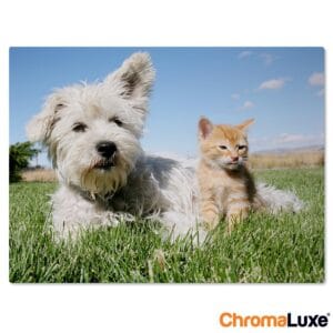 Bestel Foto op aluminium afdrukken - Wit (ChromaLuxe) - 15 x 10 cm met eigen foto