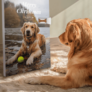 Bestel Gepersonaliseerde Adventskalender hond - Pedigree met eigen foto
