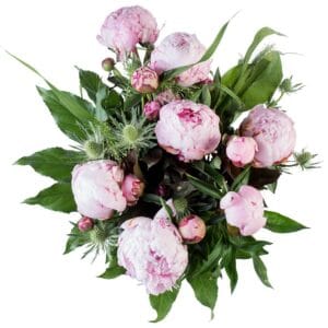 Bestel Bloemen - Pioenrozen (Middel) met eigen foto