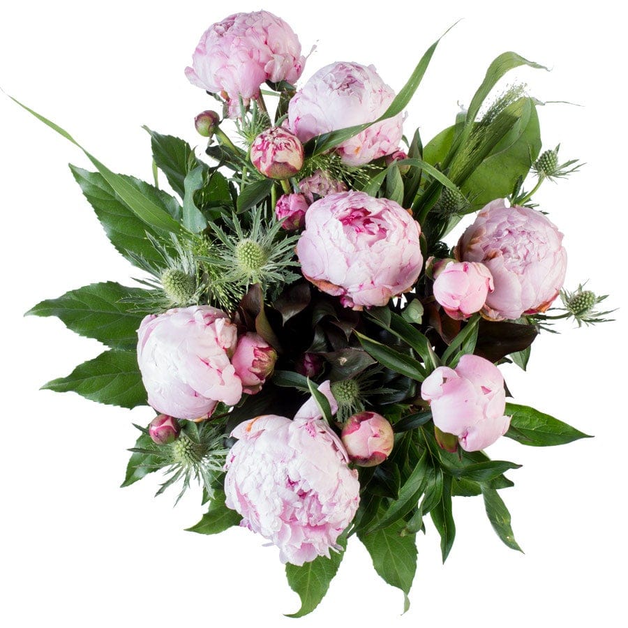 Bestel Bloemen - Pioenrozen (Middel) met eigen foto